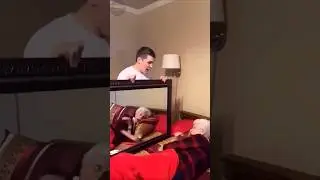 Funniest Shorts #Shorts #RelatableMemes #MemeCompilation #TryNotToLaugh #DailyMemes #InstantLaughter