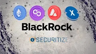 BlackRock выбрала Ethereum, Avalanche, Polygon, XDC для токенизации активов. Securitize.