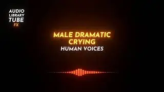 Free Male Dramatic Crying Sound Effect [Human Voices]