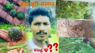 खोया देवी Jadee Bootee Saamaan Gondi 👌 Mahadev Blogs