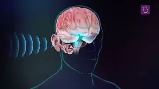 Science of UltraEdge Technology   Edge Detection   Sensitive Microphone   Wicket to Wicket   BYJU’S