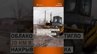 Камчатку засыпало пеплом | Сибирь.Реалии #shorts