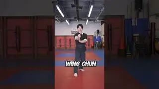 Karate vs Wing Chun #karate #wingchun #kungfu #mma