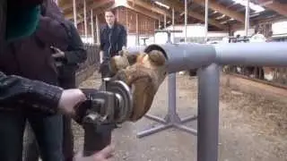 Střední škola zemědělská a veterinární Lanškroun