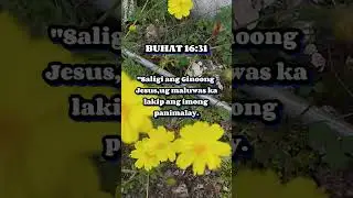 Bible Verse in Bisaya Version