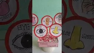 science project for lkg🥳🥳🥳👌👌👌👌