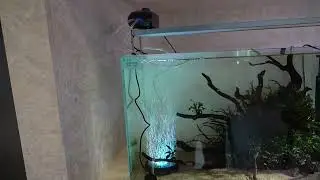 🌈 Introducing the QPL-50 LED Light: A Splash of Color for Your Aquarium! 🌊