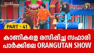 കാണികളെ രസിപ്പിച്ച സഫാരി പാർക്കിലെ ORANGUTAN SHOW | SAFARI WORLD BANGKOK | THAILAND VLOG | PART 41