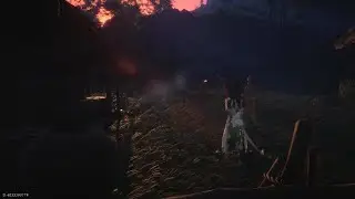 A Dog's Life by Choice: Ask Crowd about What's Happening | Where Winds Meet PS5