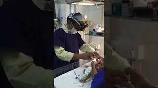 ROP SCREENING -DR AJAY DUDANI