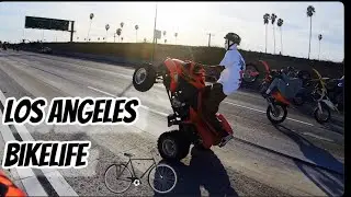 LA BikeLife: Wheelie Wednesday/ Collab with BORNXRAISED