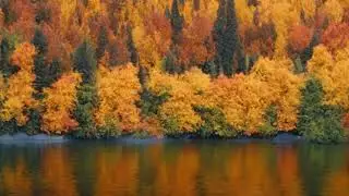 Relaxing (M&ouml;kki) Cottage Sounds in Finland, Autumn lake and rustling trees