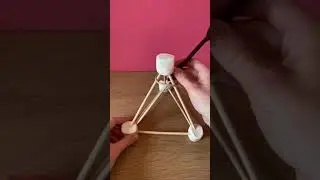 Marshmallow Catapult! | STEM for Kids | #shorts