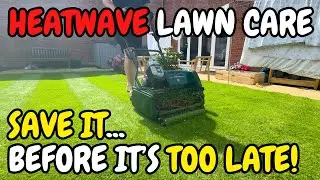 Heatwave Lawn Care &ndash; Do&rsquo;s & Don&rsquo;ts You Must Know!