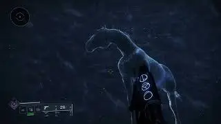 Rite of the Nine secret room (giant Star horse) Destiny 2
