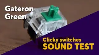 The Ultimate GATERON GREEN Sound Test | A Great Heavy Click Jacket!