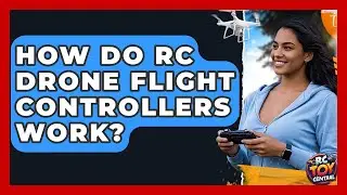 How Do RC Drone Flight Controllers Work? - RC Toy Central