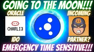 CardStarter CARDS TO THE MOON!!! TIME SENSITIVE INFO Cardano Launchpad Charli3 & Bitboy Partnership?