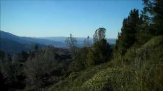 Above Painted Cave, near Santa Barbara, California
