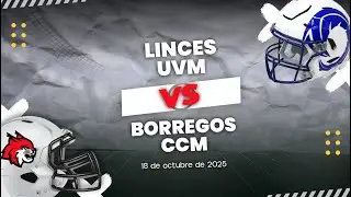 🔴Liga Mayor ONEFA: Pumas C.U. vs Zorros CETYS 24/10/2026