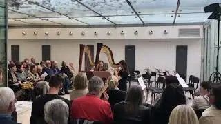 Cherry pink and apple blossom, Harp duo