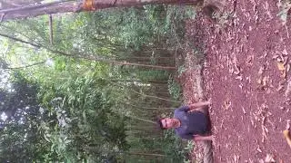 DEXTER BEST TRAINING HARD DOUBLE KICK TWIST