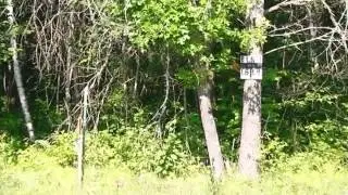 Homes for Sale - Lot 15 Block 1 Stone Brook Acres Pequot Lakes MN 56472 - MARVIN STRONG