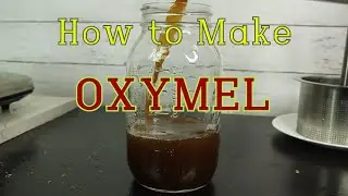 How to Make Oxymel? Make Lemon Balm Oxymel with Three Simple Ingredients. Oxymel Herb Extract Short