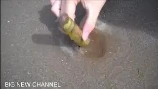 بدأ البحارة أسهل solenidae