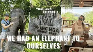 £180 for a Private Elephant Tour… Was It Worth It? 🐘🇹🇭 | Southeast Asia Travel Vlog Episode 8