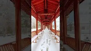 09.12.2022 China details in Samarkand