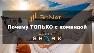 SoNat. Почему ТОЛЬКО с командой GlobalShark?