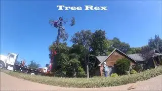 Allen's Tree Service Inc.-St. Charles County Missouri-Tree Rex-Tree Removal Call 636-332-5535