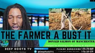 66-year-old farmer charged after bar shooting in Manchester Jamaica