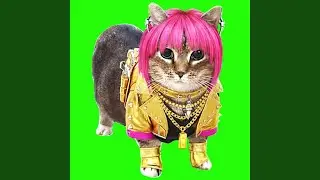 OIIA OIIA GOLDEN Spinning CAT