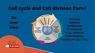 Cell Cycle | Part-I | An overview | Introduction to cell cycle | PM Biology