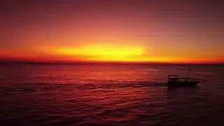 Dji Mavic Mini flying into sunset #skypixel #dji