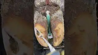 Rock is pressed in tight&hellip;