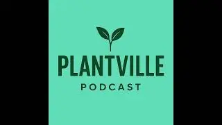 Plantville - Ahead Burghotel