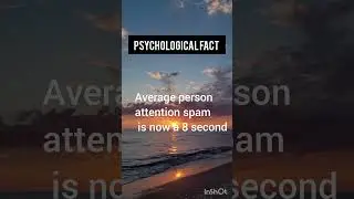 Attention span #lyrics #song #spotify #explore #musicfunfacts #funfacts #facts #funfactsoflife