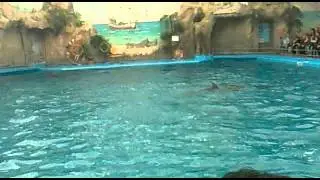 24042011007