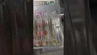 Umbrella tips! #bass #bassfishing #fishing #swimbait79 #pnwbass #bassproshop #shorts #shortsvideos