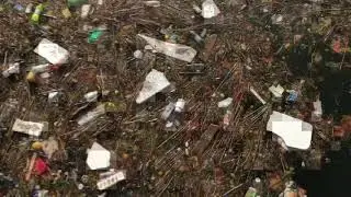 sea skin - post internet art (2017, rotterdam)