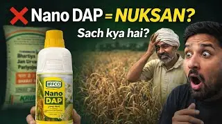 Nano DAP = Nuksan? | DAP kharidne se pehle sach jaan lo | Farmers Truth