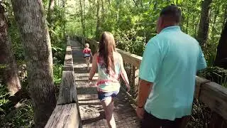 Your Family's Gotta Try This: Treehouse Camping at Green Cove Springs