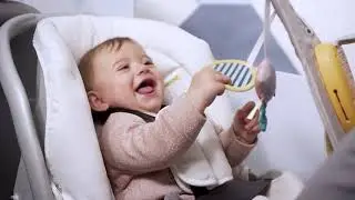Taf Toys 12285 Таф Тойс Музыкальный автомобильный комплекс