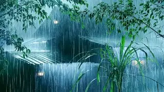 Sleep Hypnosis for Deep Sleep with Heavy Storm Rain on Metal Roof & Strong Thunder on Stormy Night