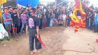 RAMPAK BARONG PANDOWO PUTRO BANDAR LAMPUNG LIVE SUMBER AGUNG 
