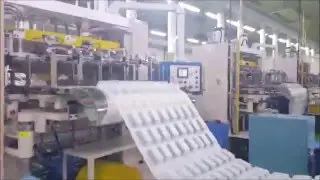 PP Tray Manufacturing. VFK.com