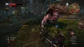 The Witcher 3: Wild Hunt Killing a Fiend in Crookback Bog